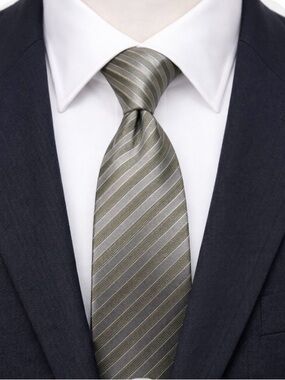 Clericci Gray Silver Diagonal Stripe Tie Textured Satin Polyester Woven Classic